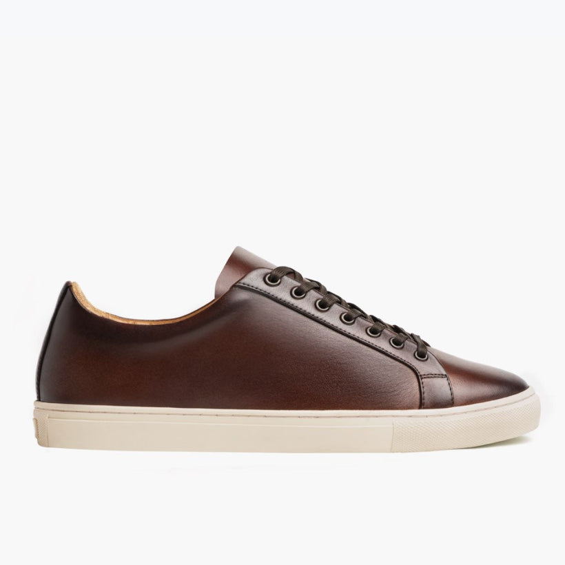 Premier Low Top Coffee Leather Sneakers pour Homme